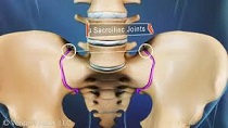 فیلم آموزشی بیماریهای مفصل ساکروایلیاک ( خاجی-خاصره ای )